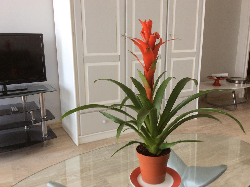 Appartement Dolce Vita Cagnes-sur-Mer Szoba fotó